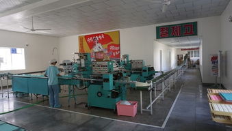 朝鲜游记