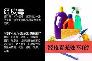 从温馨日常到健康隐忧 重新审视那些“挚爱”的日用品